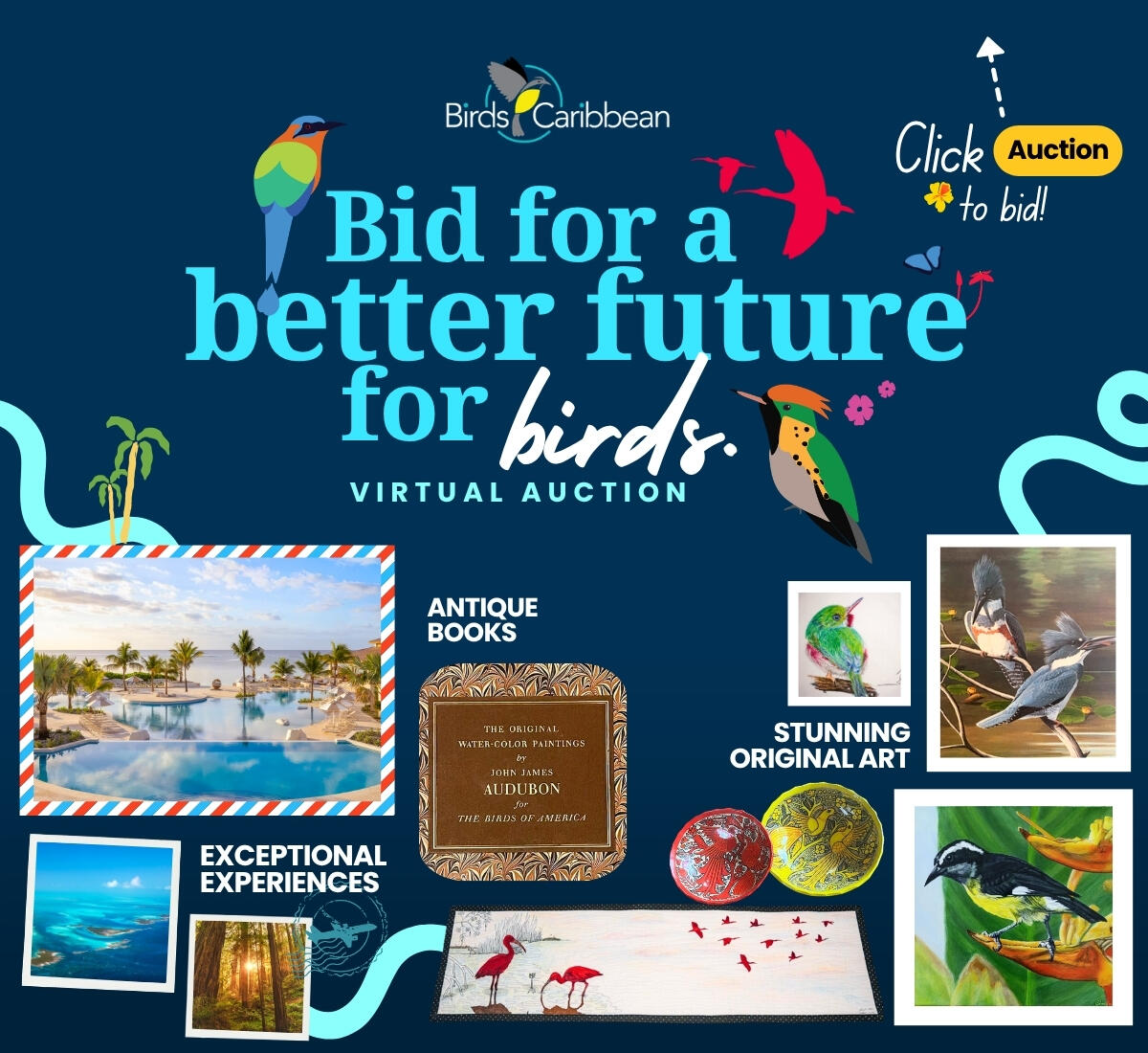 Campaign cover image for BirdsCaribbean's First Online Auction!