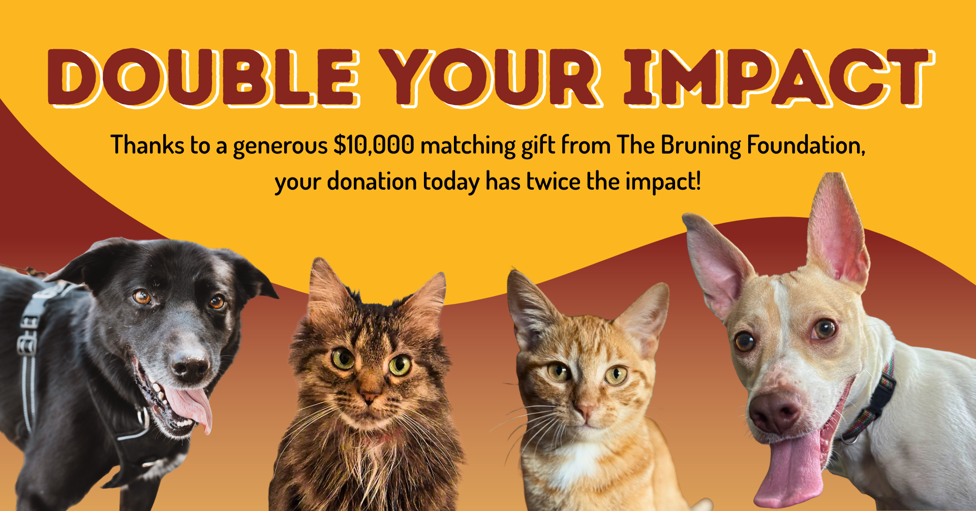 Campaign cover image for $10,000 Matching Gift