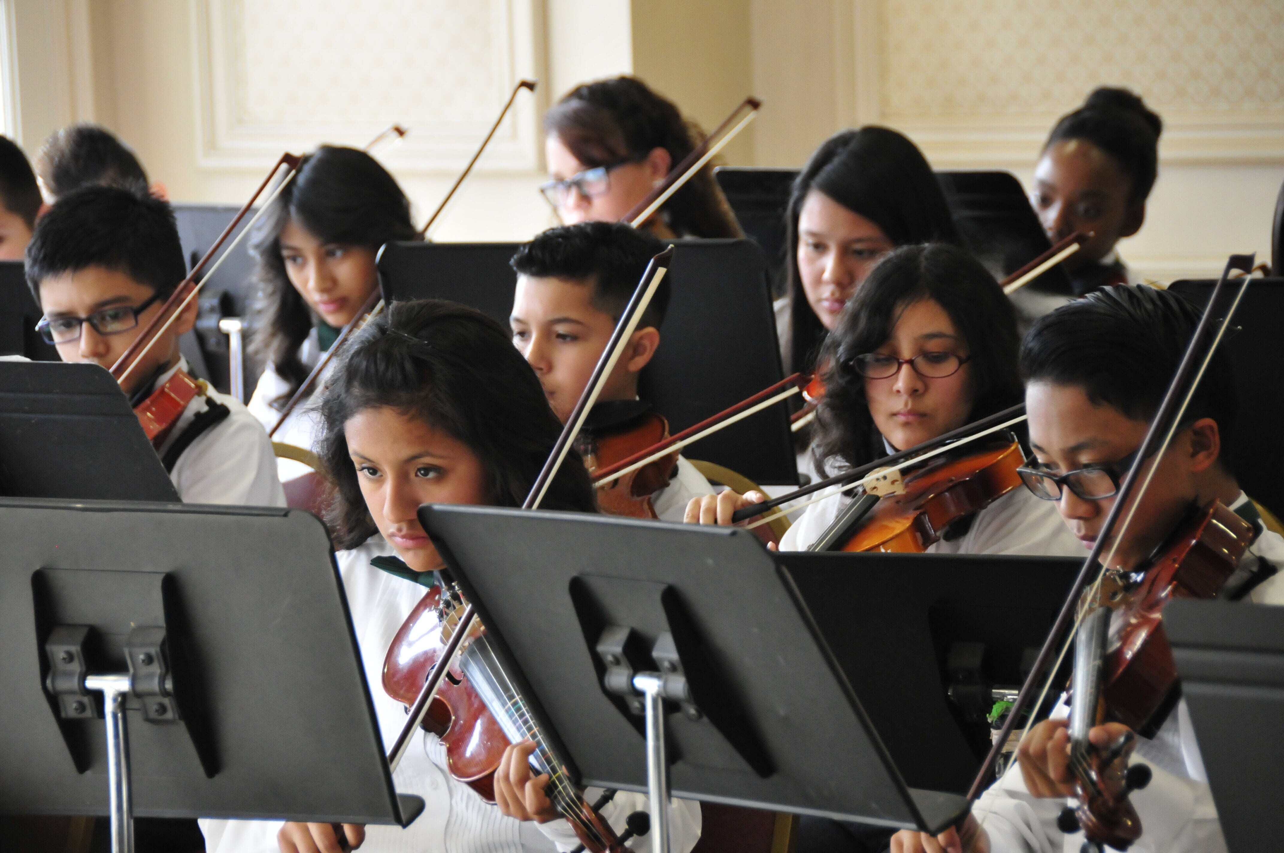 Campaign cover image for Classroom to Concert Hall