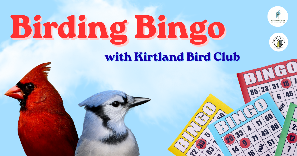 Campaign cover image for Birding Bingo with Kirtland Bird Club 10-3-26