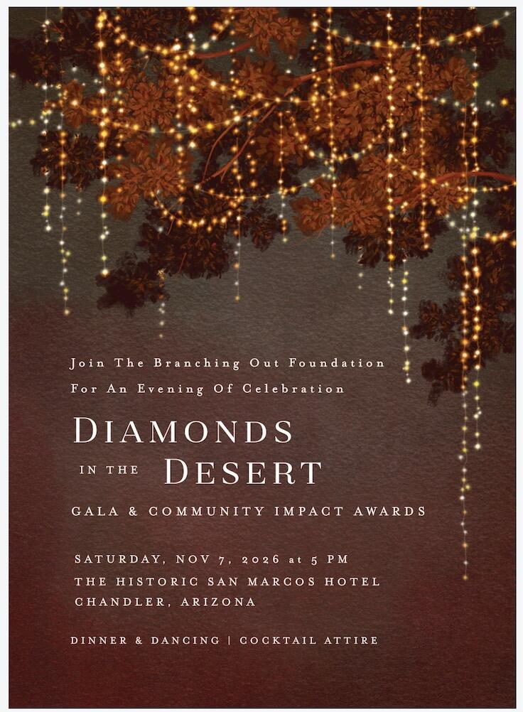 Campaign cover image for Diamonds In The Desert