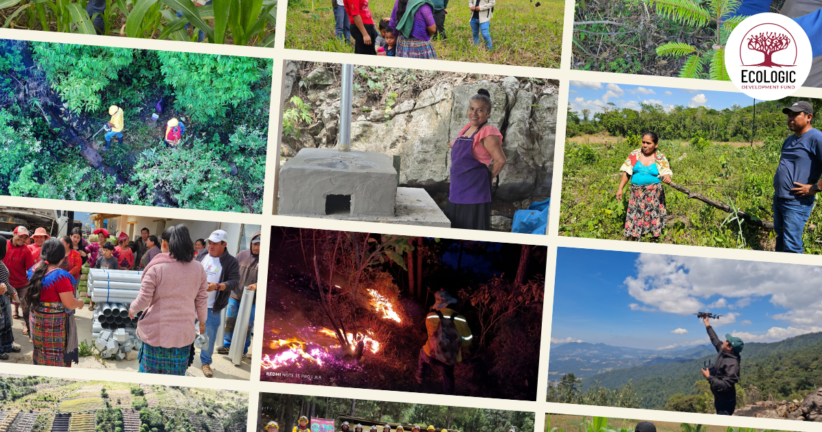EcoLogic Conservation Resilience Fund | EcoLogic Development Fund
