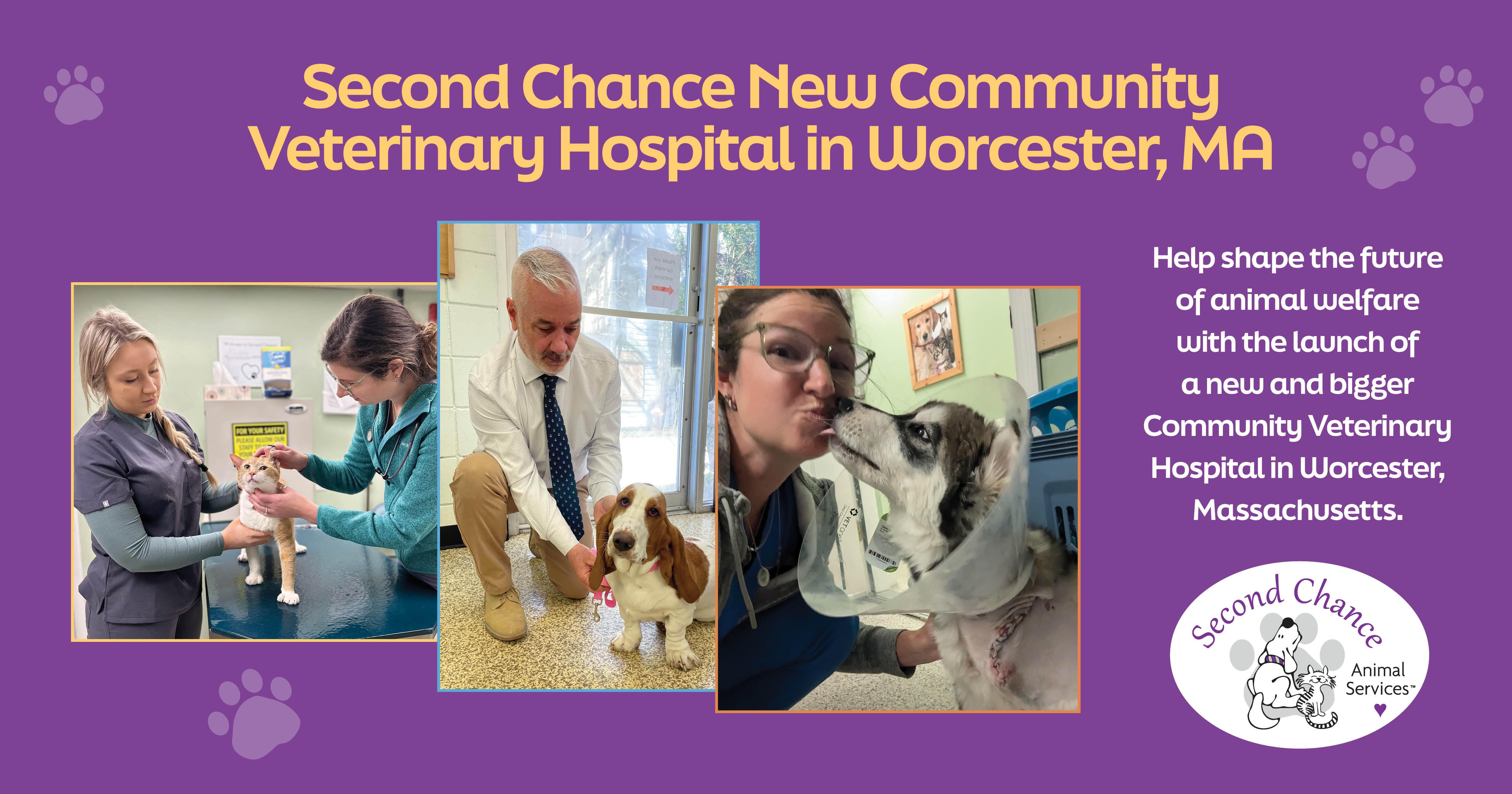 Campaign cover image for Worcester Hospital Expansion