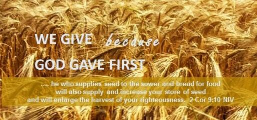 Campaign cover image for Donate