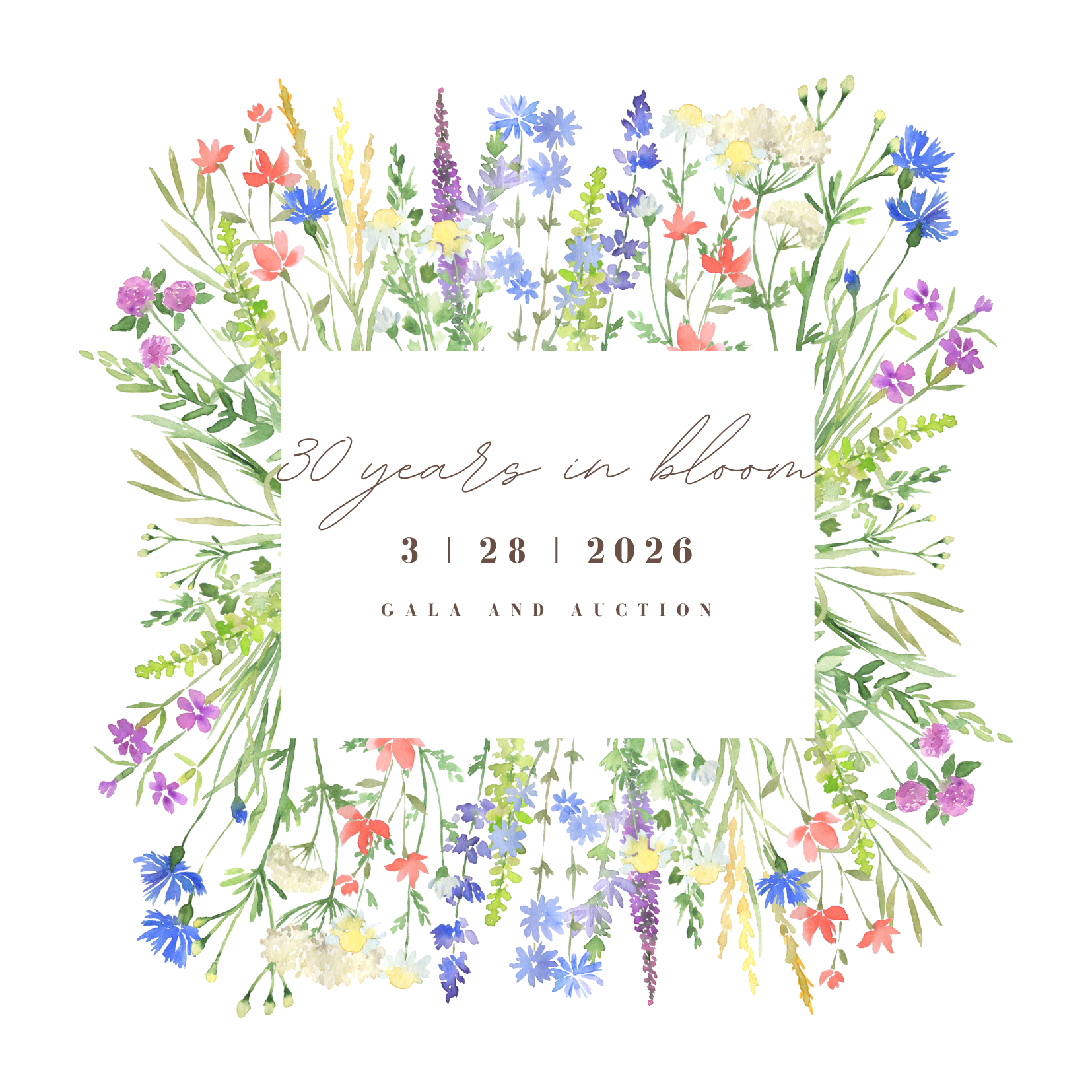 Campaign cover image for 30 Years in Bloom Auction and Gala