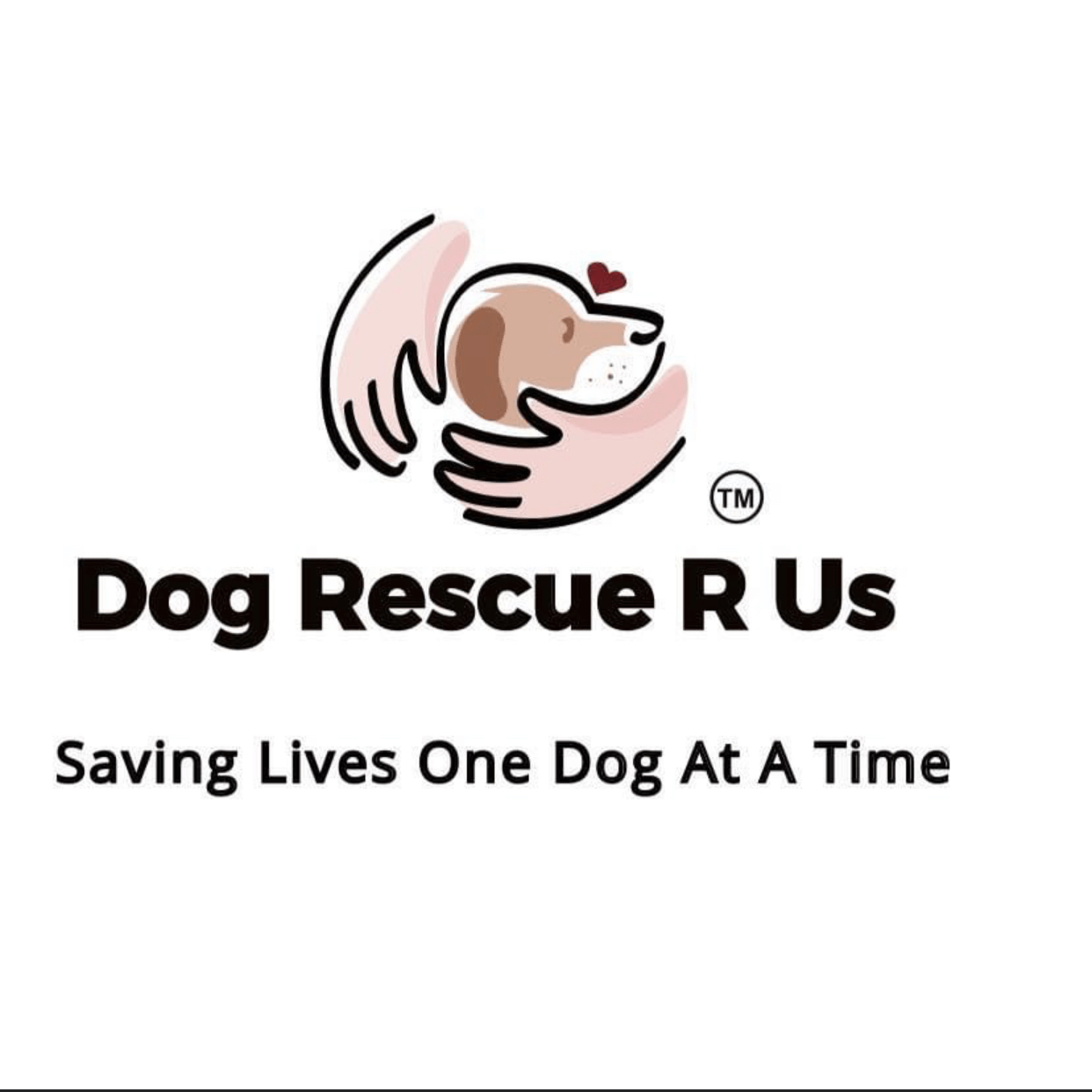 Campaign cover image for Online Auction