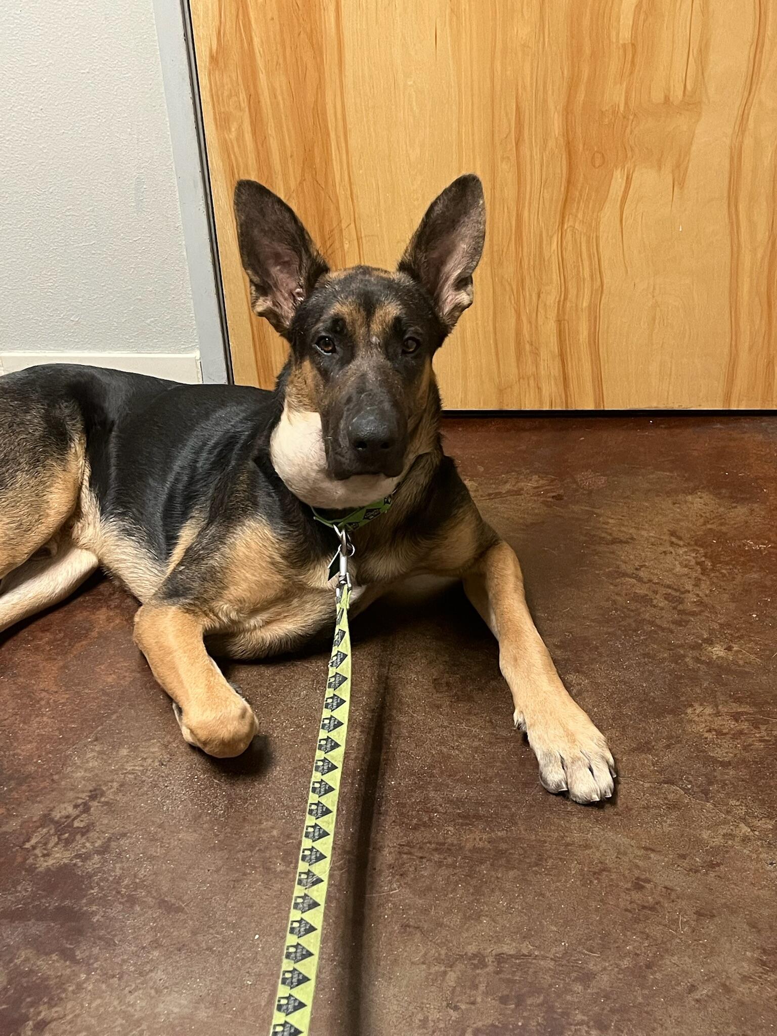 Campaign cover image for Another Chance for Chance