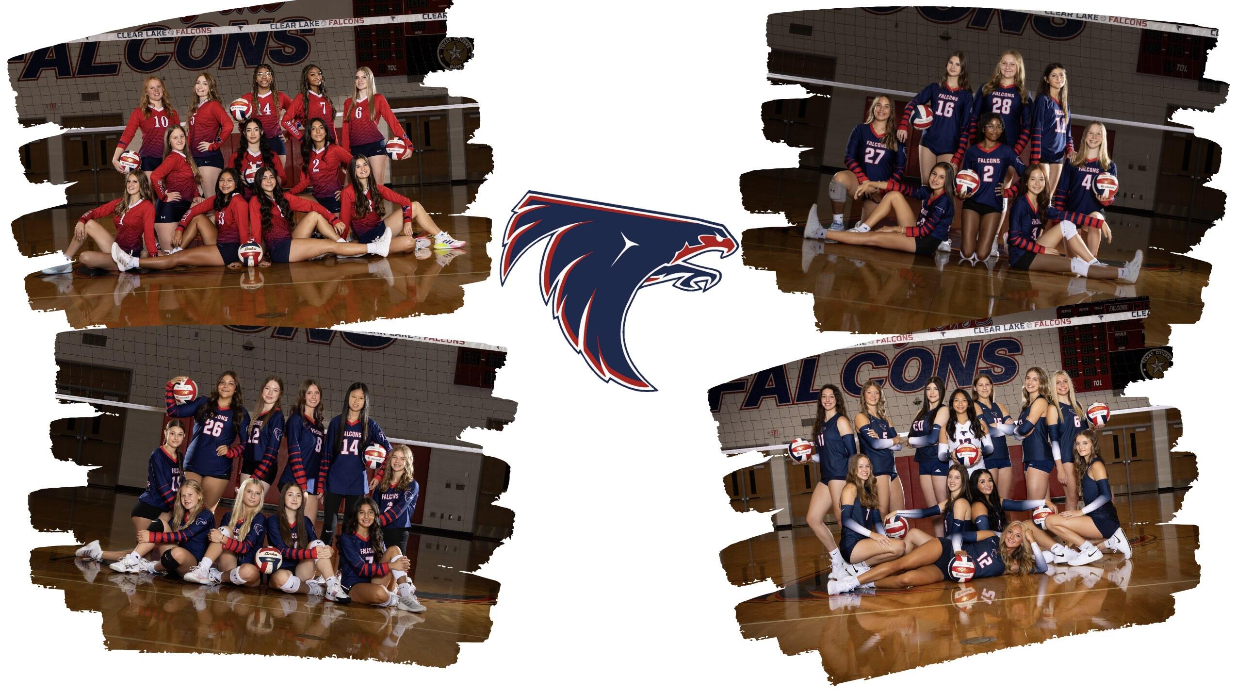 Campaign cover image for Support Clear Lake Falcon Volleyball 2025