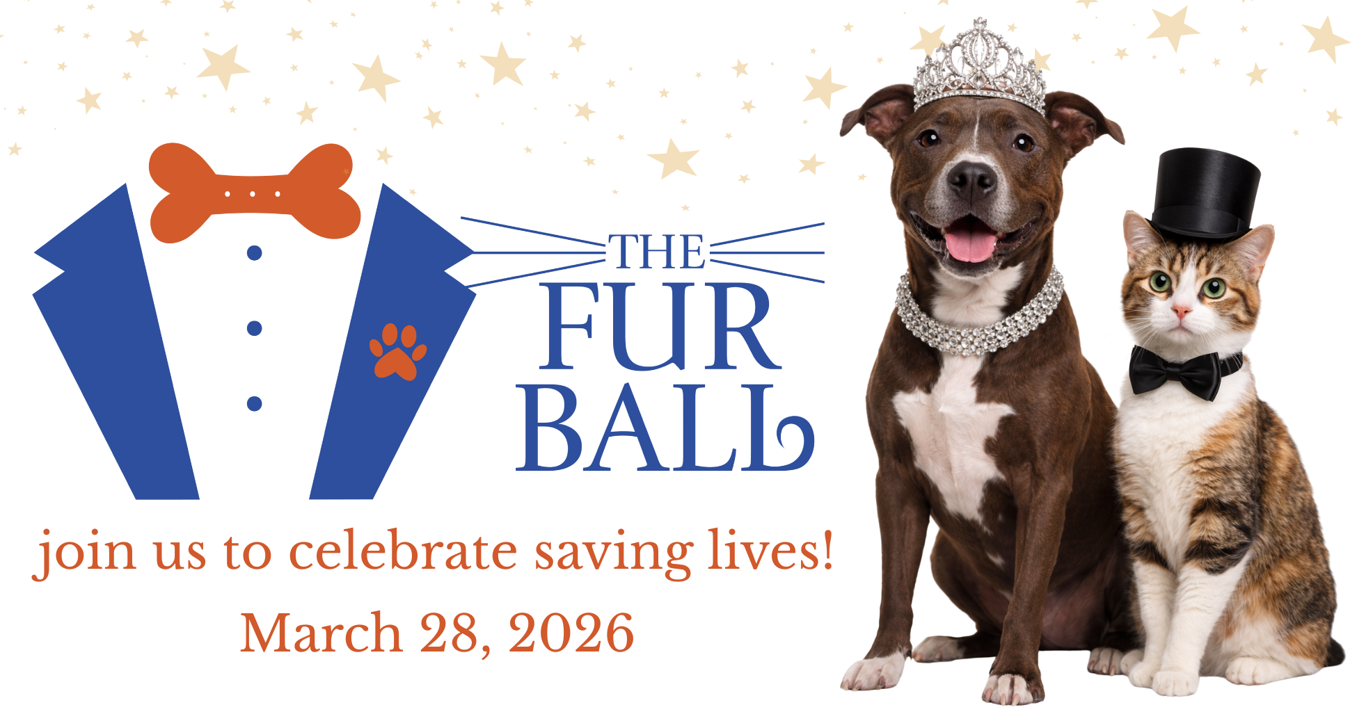 Campaign cover image for The Fur Ball 2026