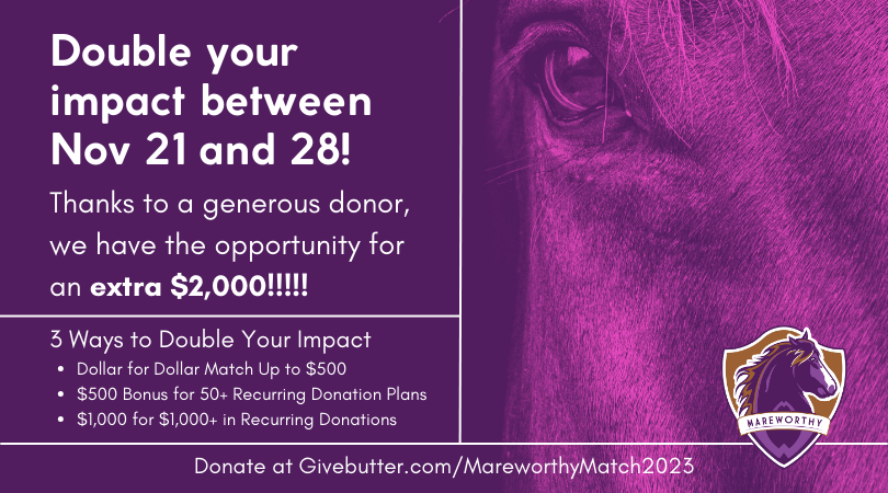 Campaign cover image for Giving Grati-Tuesday Mareworthy Match