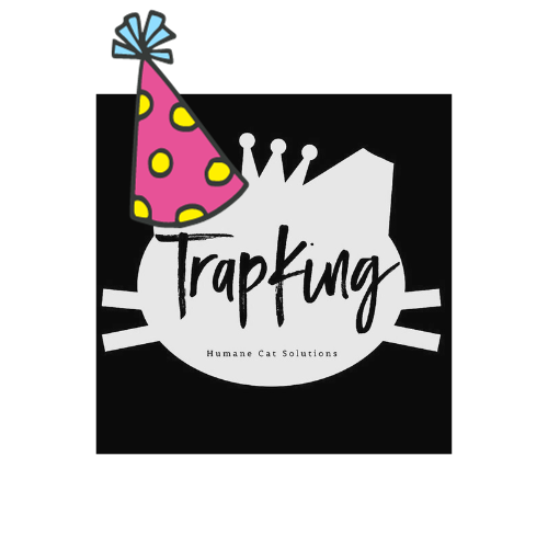 Campaign cover image for Fundraising For Felines Festival