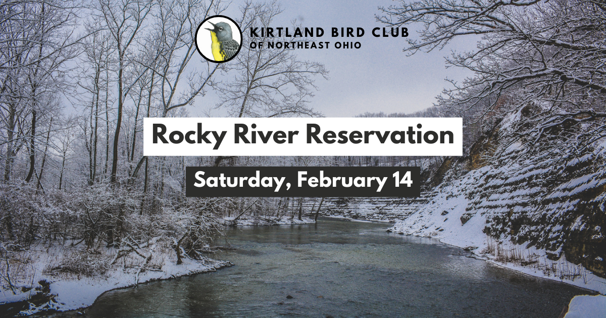 Campaign cover image for Feb 2026 Field Trip