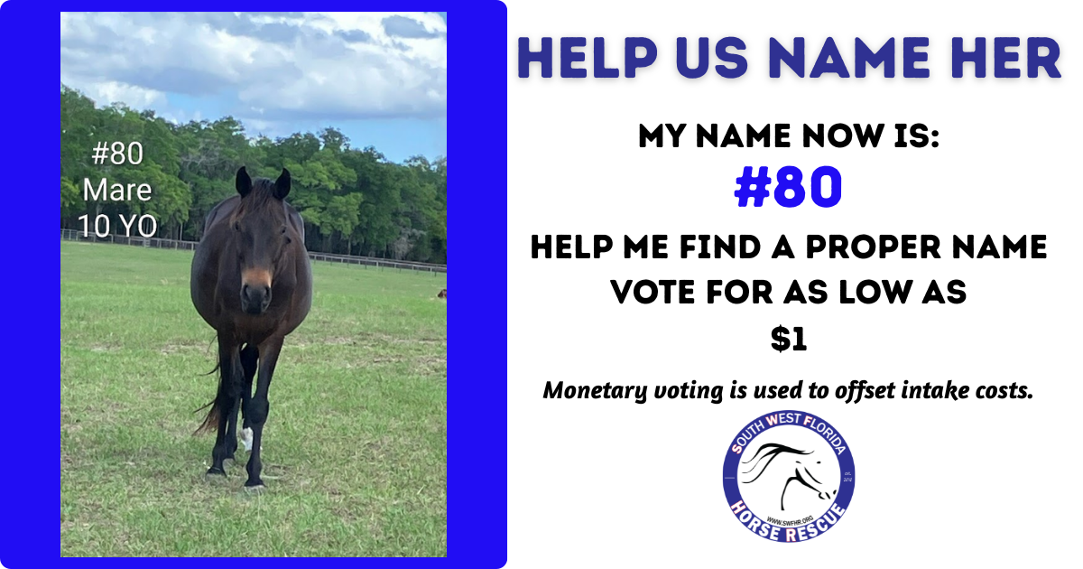 Campaign cover image for SWFHR Name Game - #80