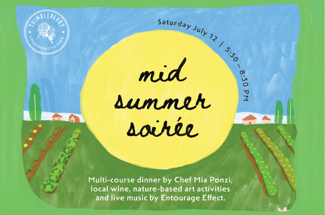 Campaign cover image for Mid Summer Soiree 2025