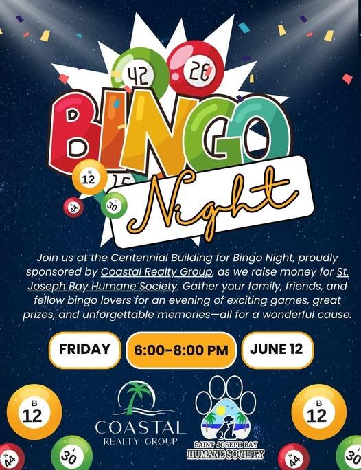 Campaign cover image for BINGO