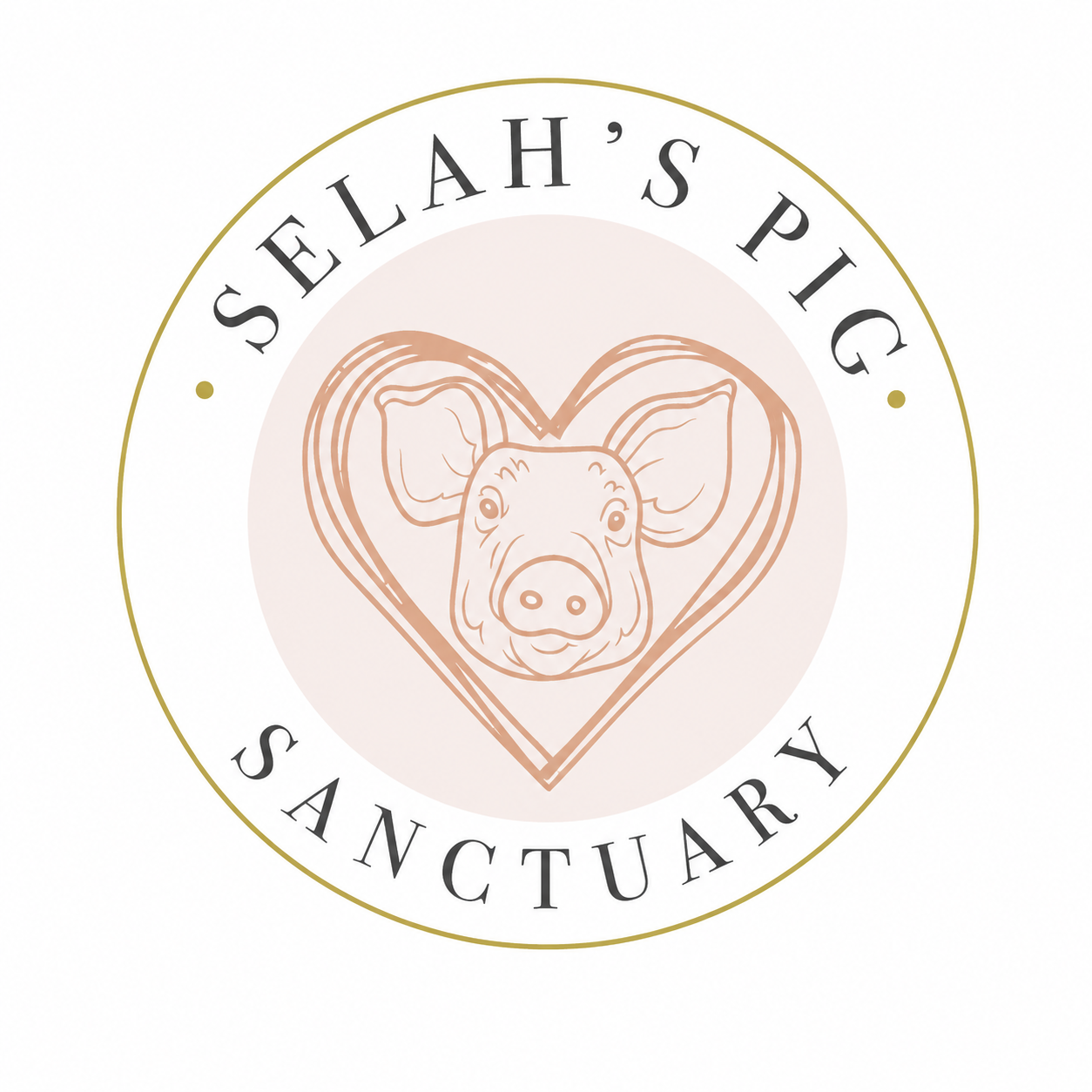 Campaign cover for Donation