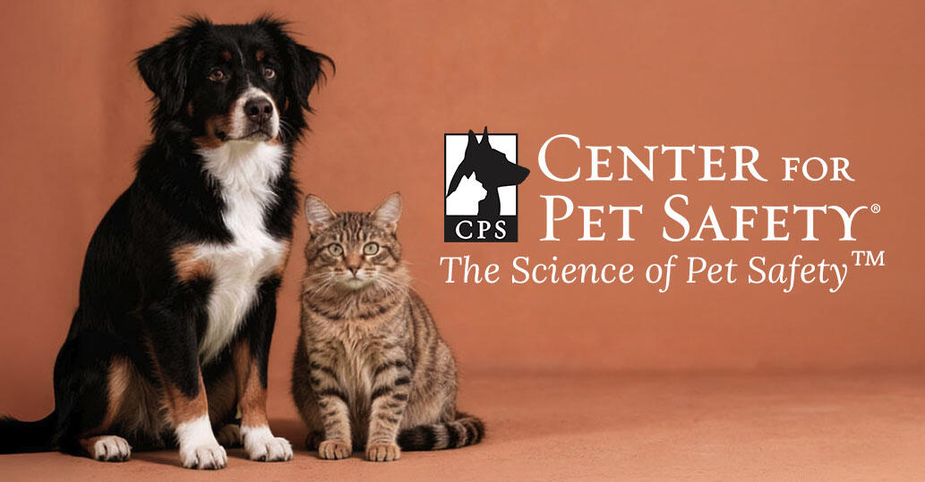 Campaign cover for Pet product brands don't fund our studies.