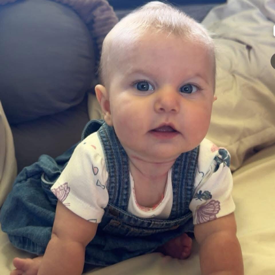 Campaign cover for The 2026 Millie Moo Fund