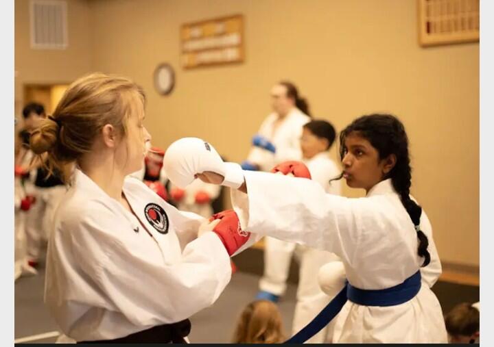 Campaign cover image for Donate to NW Wado Ryu and Help Moscow's Poverty-Level Youth