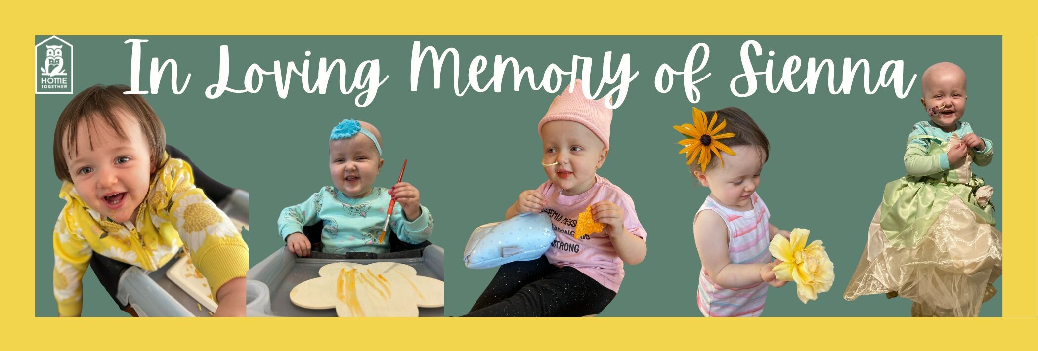 Campaign cover image for In Loving Memory of Sienna