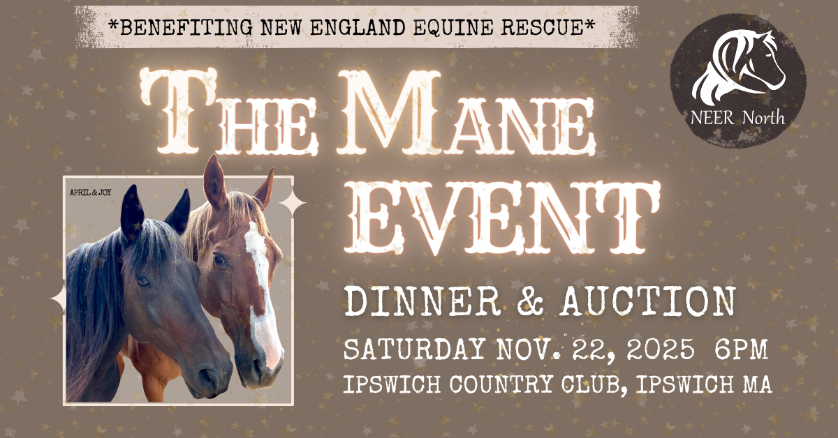 Campaign cover image for The Mane Event 2025