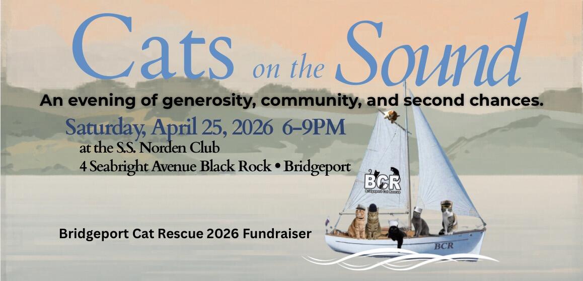 Campaign cover image for CATS on the SOUND!  April 25th 2026