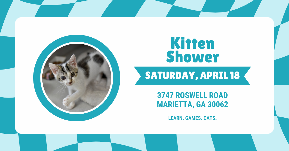Campaign cover image for Kitten Shower