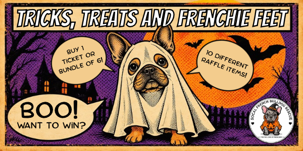 Campaign cover image for Tricks, Treats & Frenchie Feets!