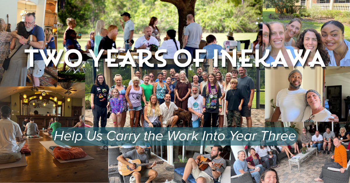 Campaign cover image for Inekawa's 2nd Anniversary Fundraiser