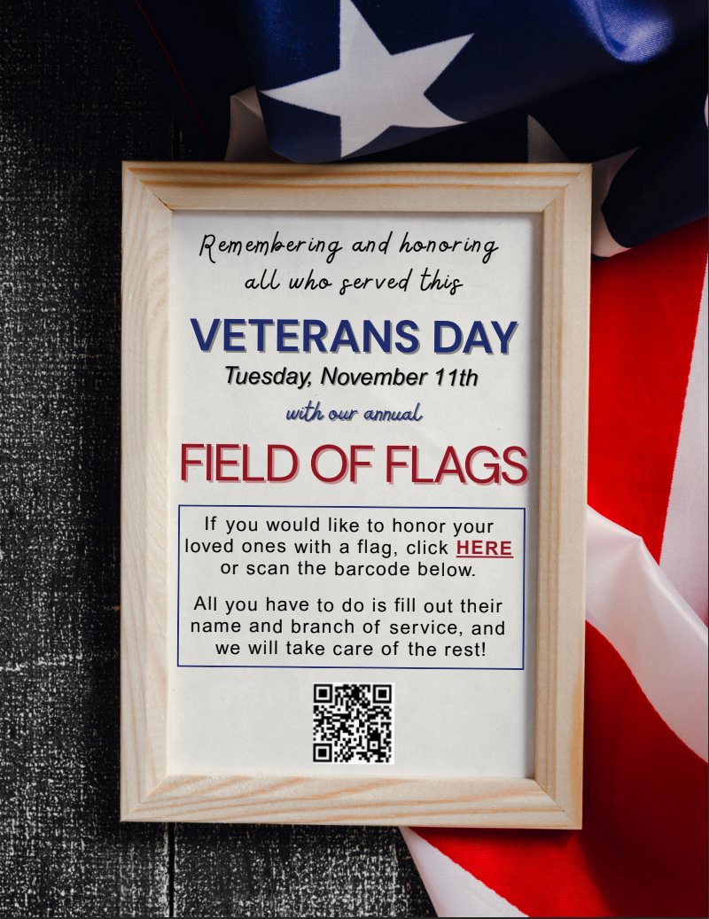 Campaign cover image for Veterans Day Field of Flags 2025