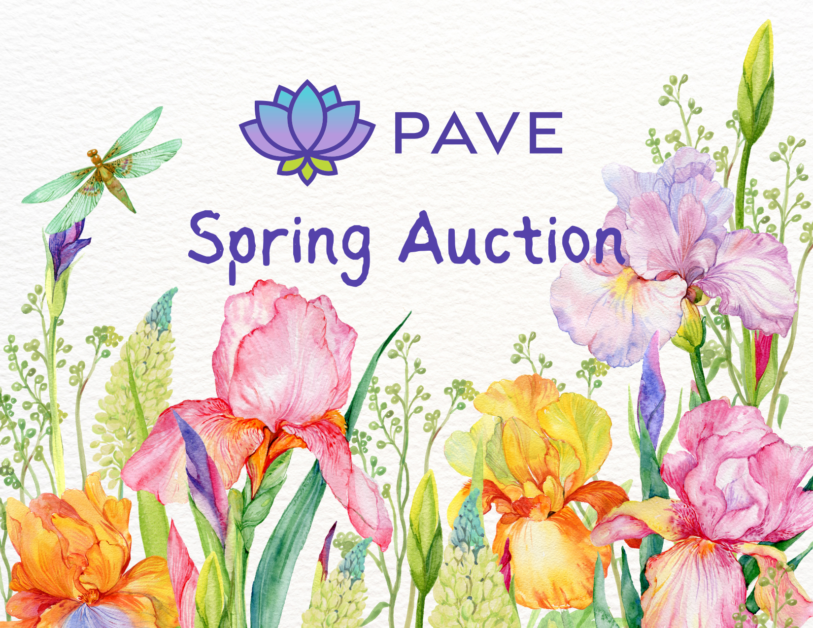 Campaign cover image for Spring Auction 2025