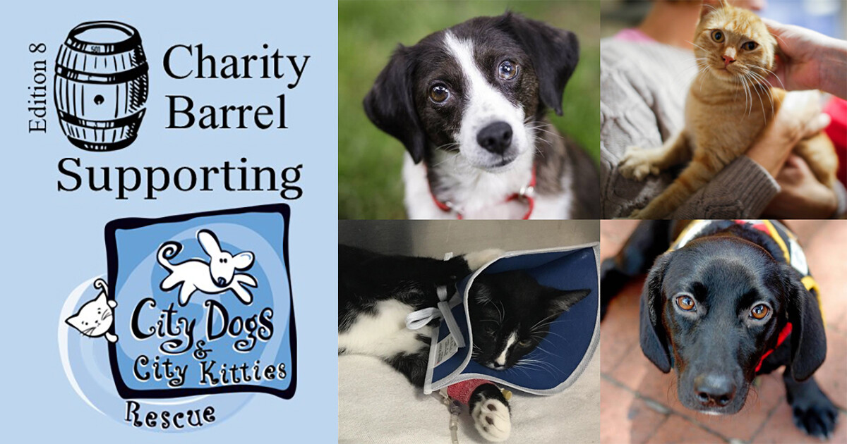City Dogs City Kitties Rescue X Charity Barrel City Dogs City City Dogs City Kitties Rescue X Charity Barrel City Dogs City
