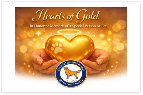 Campaign cover for Hearts of Gold