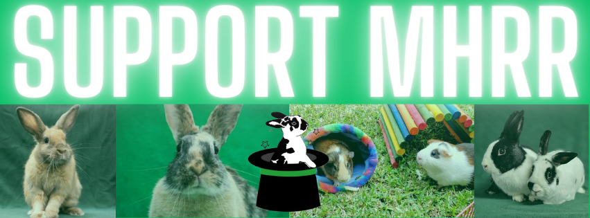 Campaign cover image for Rebuild the Bungalow!