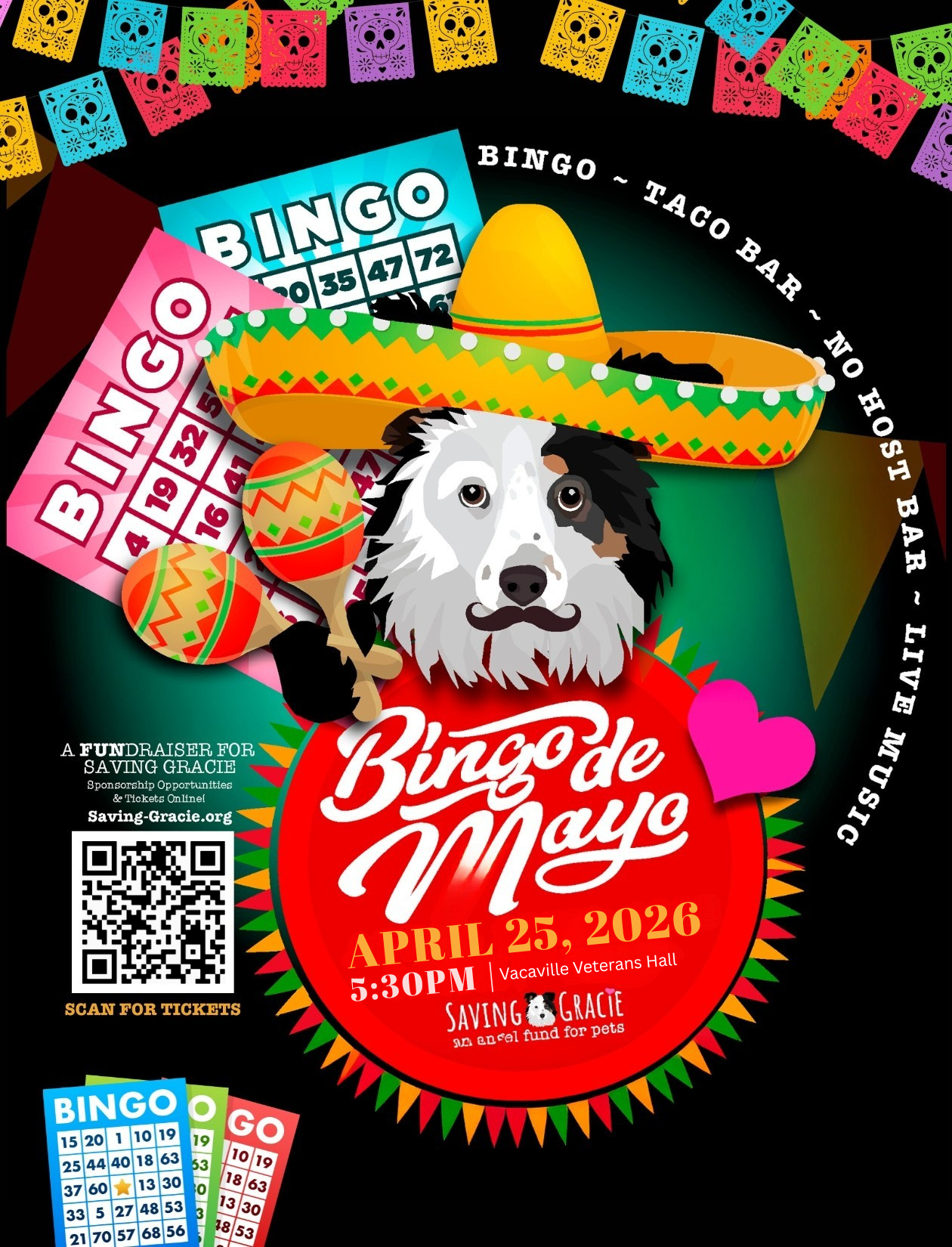 Campaign cover image for 5th Annual Bingo de Mayo Fundraiser for Saving Gracie!