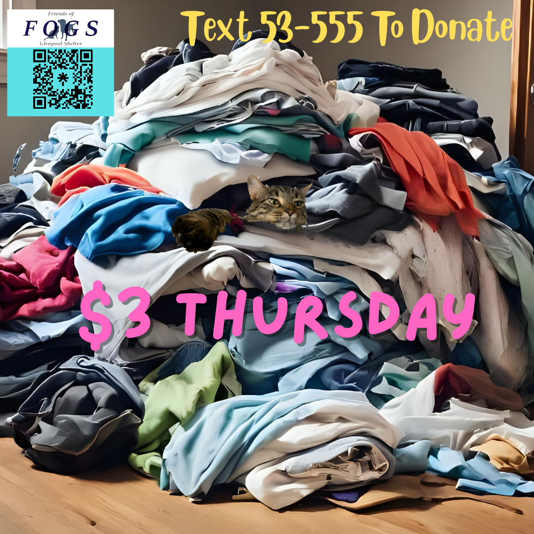 Campaign cover image for $3 Thursday