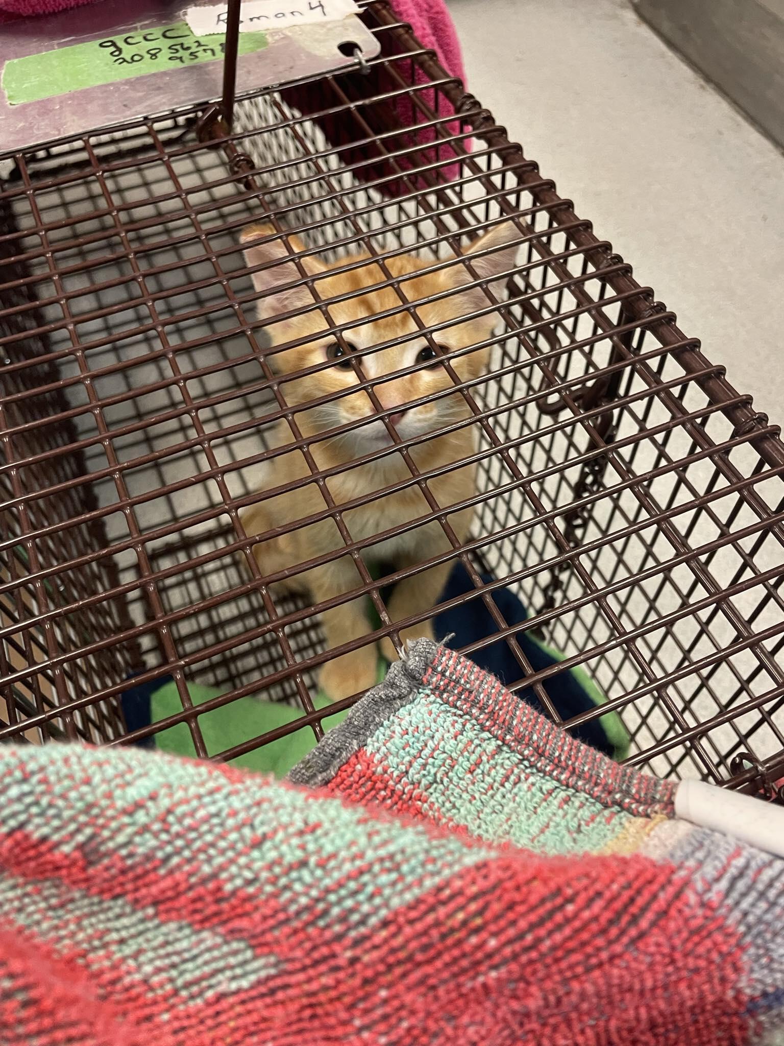 Campaign cover image for Support OCC