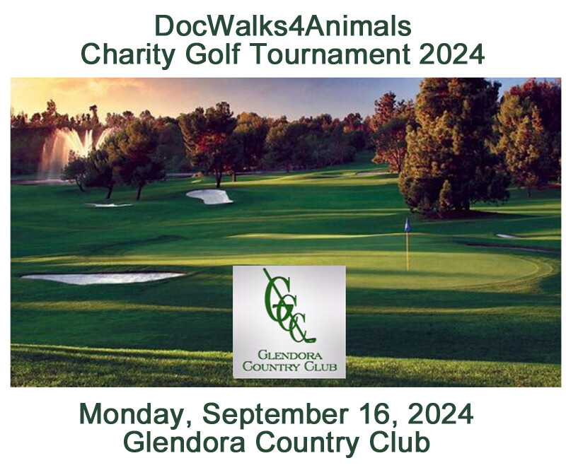 Campaign cover image for DocWalks4Animals Charity Golf Tournament 2024