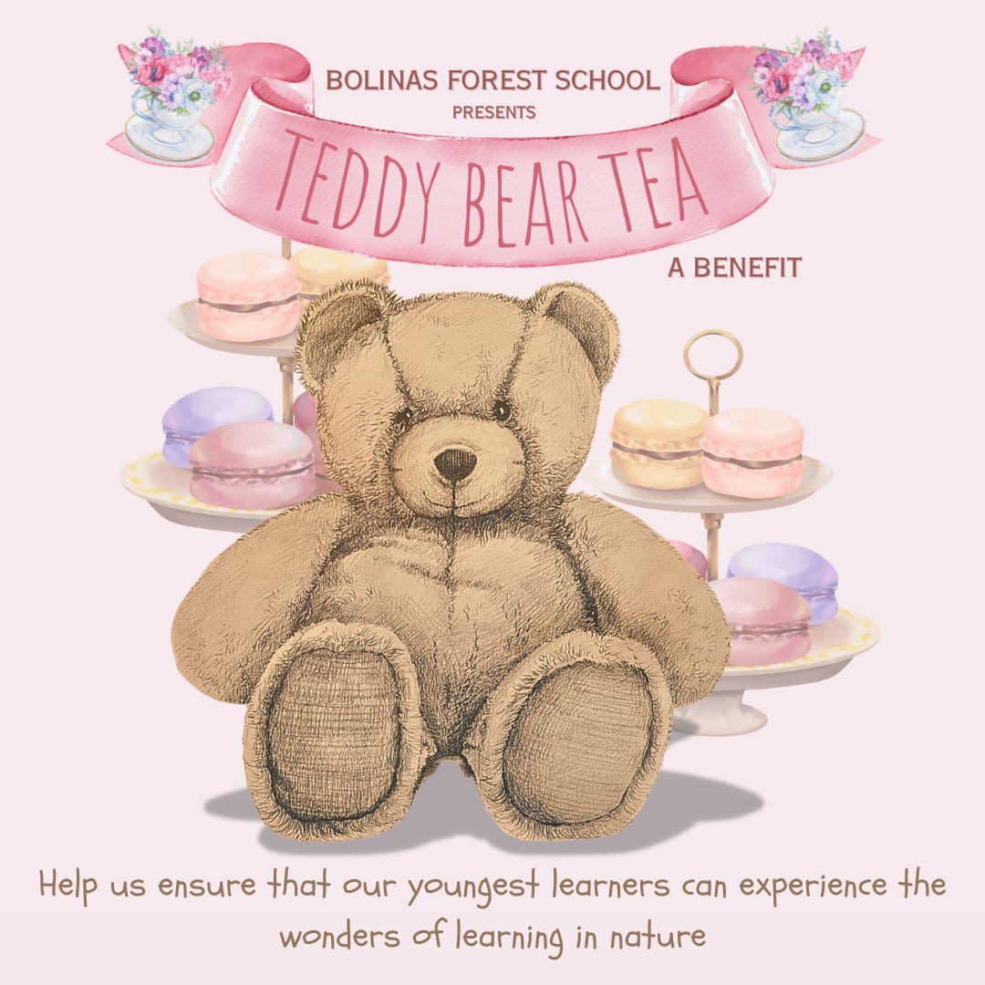 Campaign cover image for 2025 Benefit for Bolinas Forest School