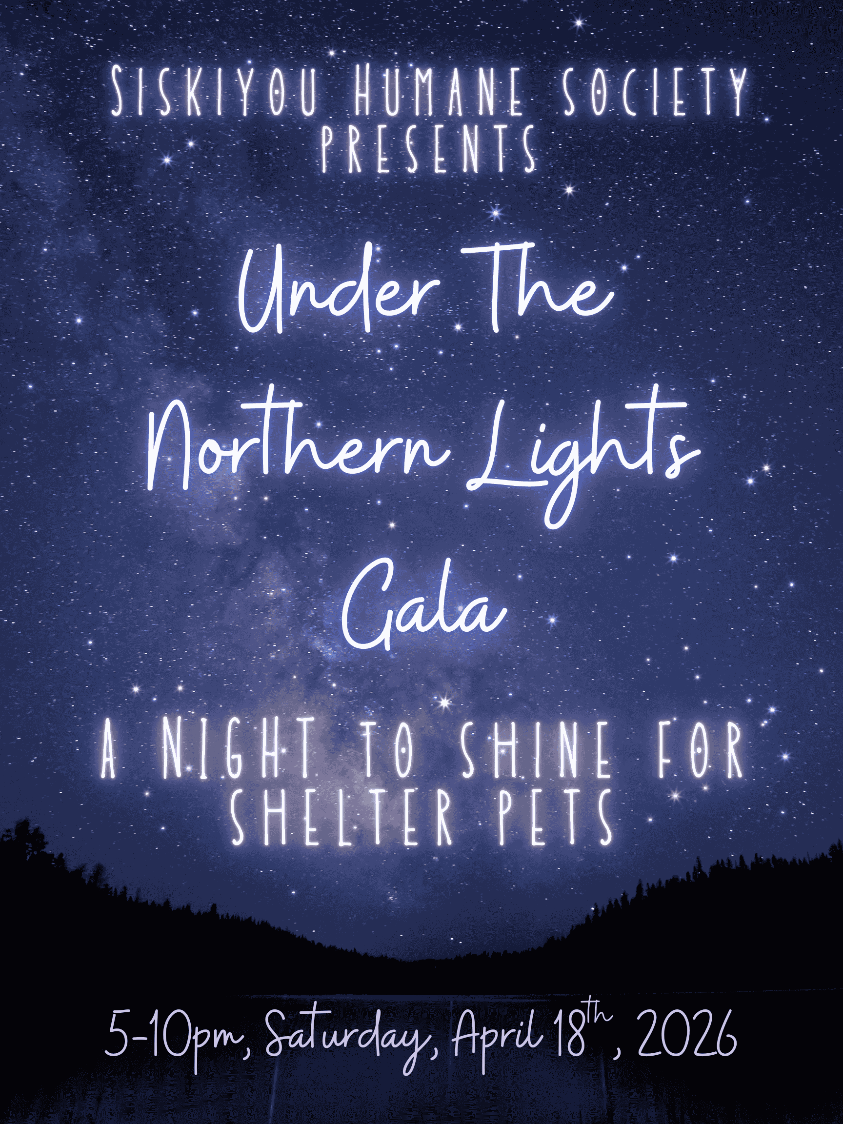 Campaign cover image for Under The Northern Lights Gala