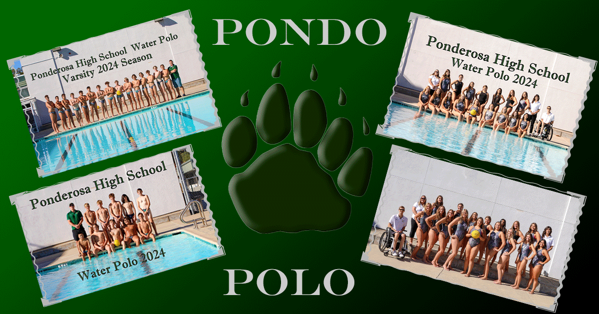 Campaign cover image for 2024 Water Polo Tread-a-Thon