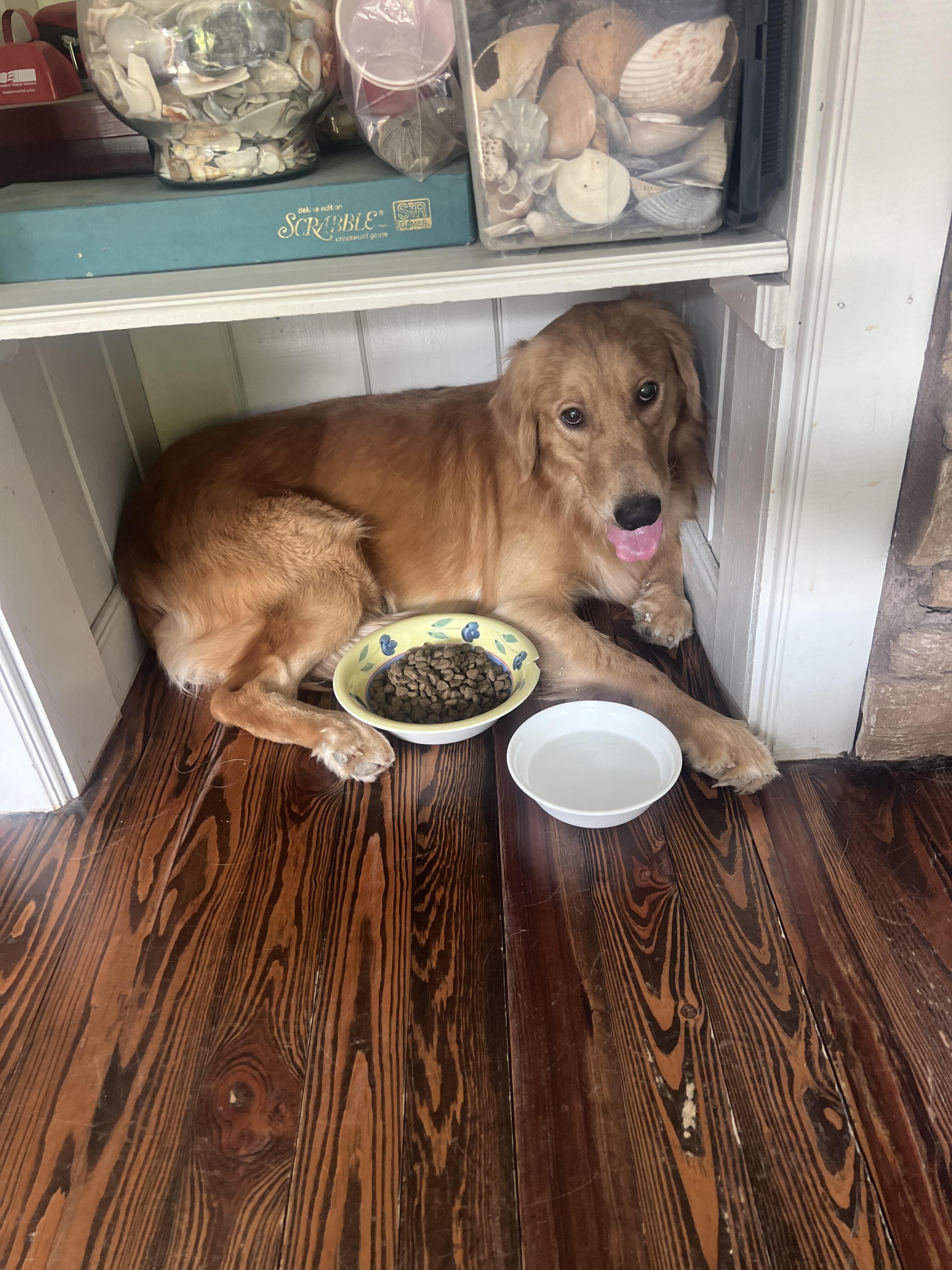 Campaign cover image for Jerry Gee HW+ - HeartsRGolden Fund