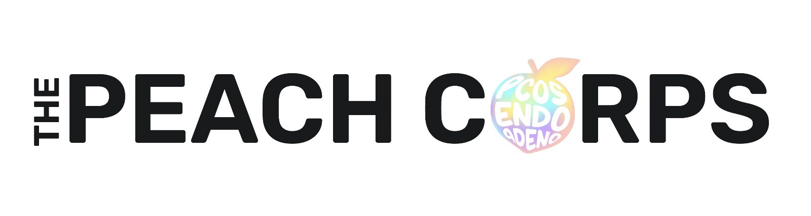 Campaign cover image for 2024 Peach Corps Conference