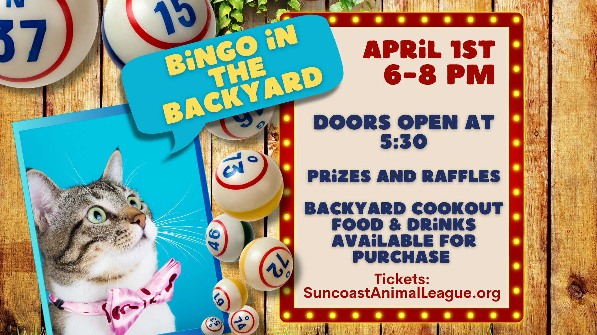 Campaign cover image for Bingo in the Backyard April 1st