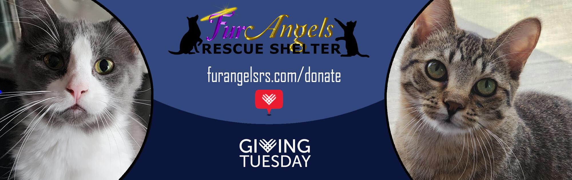 Campaign cover image for FARS Giving Tuesday