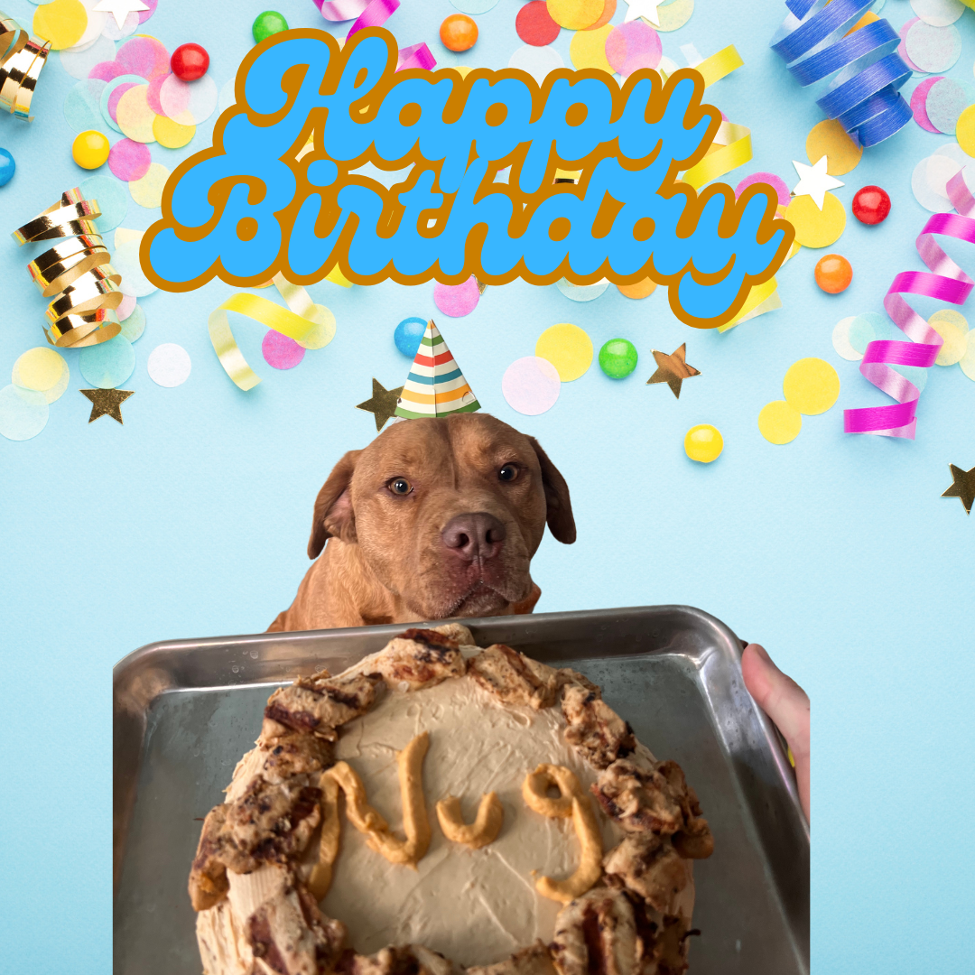 Campaign cover image for Nuggets 4th Birthday!!!