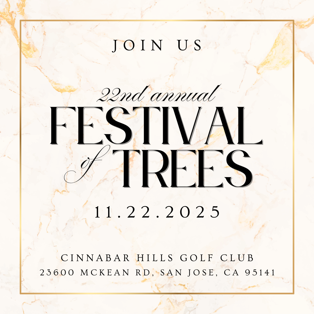 Campaign cover image for 22nd Annual Festival of Trees