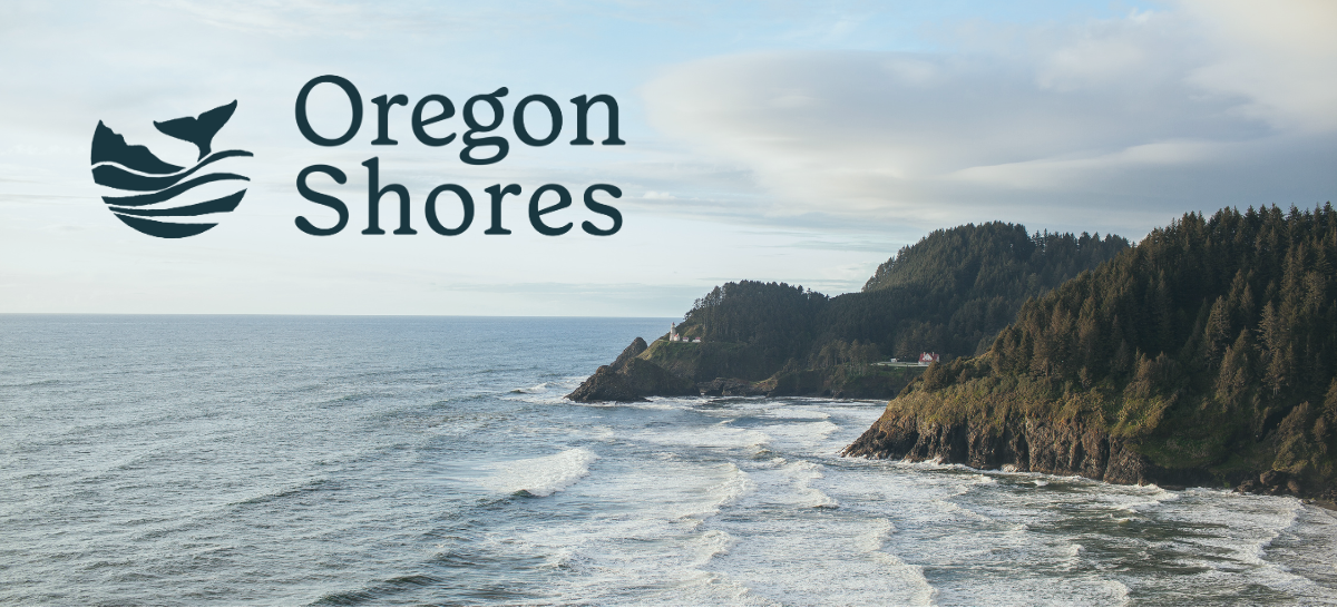 Campaign cover image for Donate Today