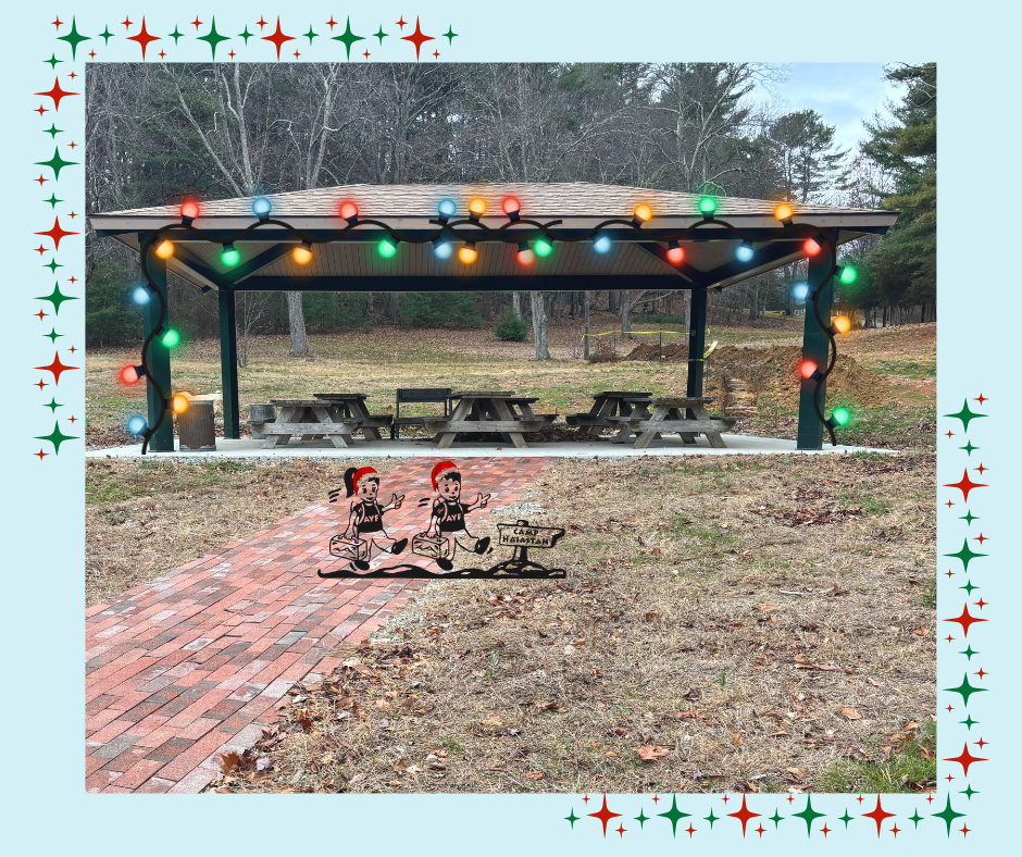 Campaign cover image for Light the Way for Day Camp