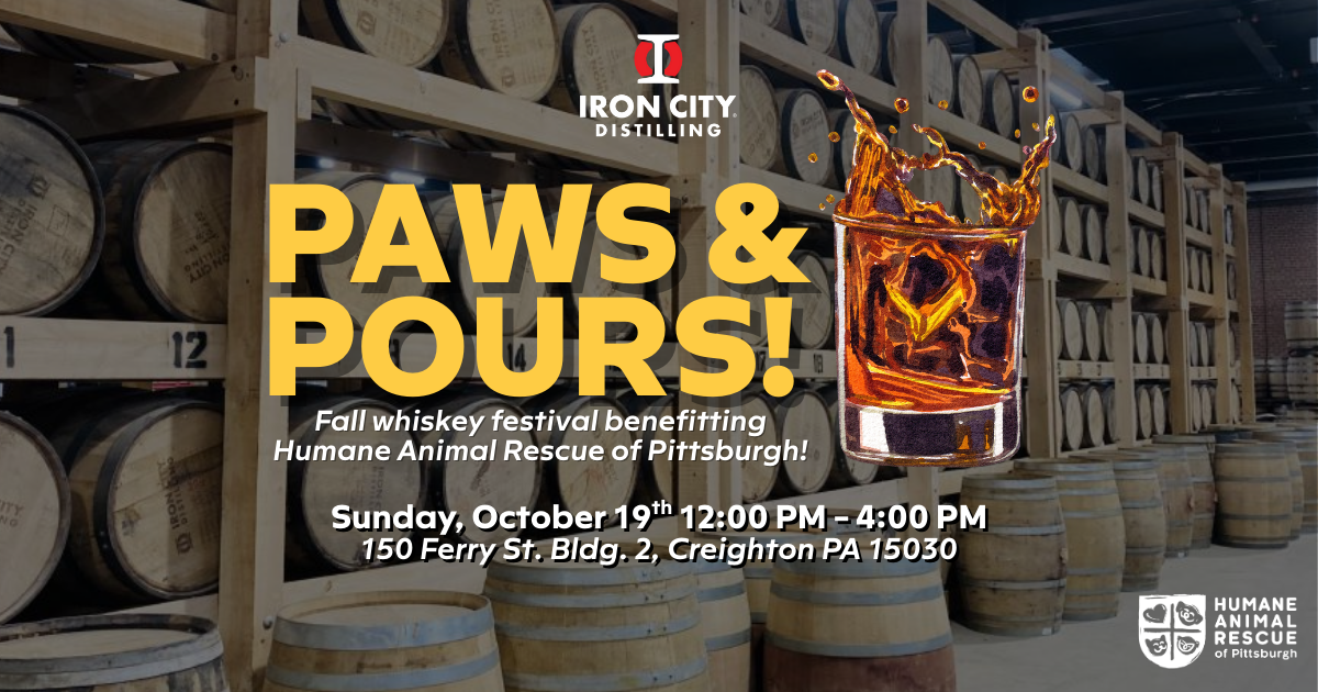 Campaign cover image for Paws & Pours 2025!